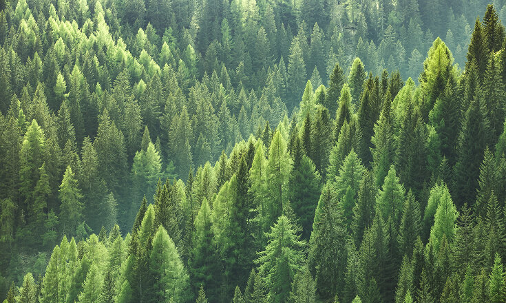 3.Advocating a Clean, Safe and Sustainable Care Ecosystem