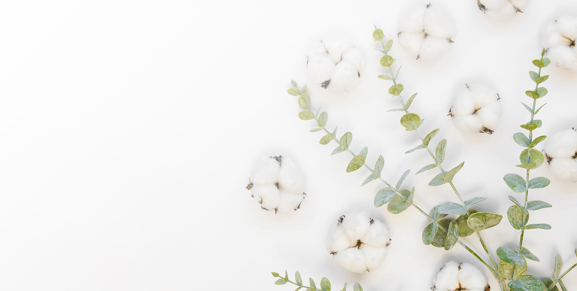 Natural Care Series